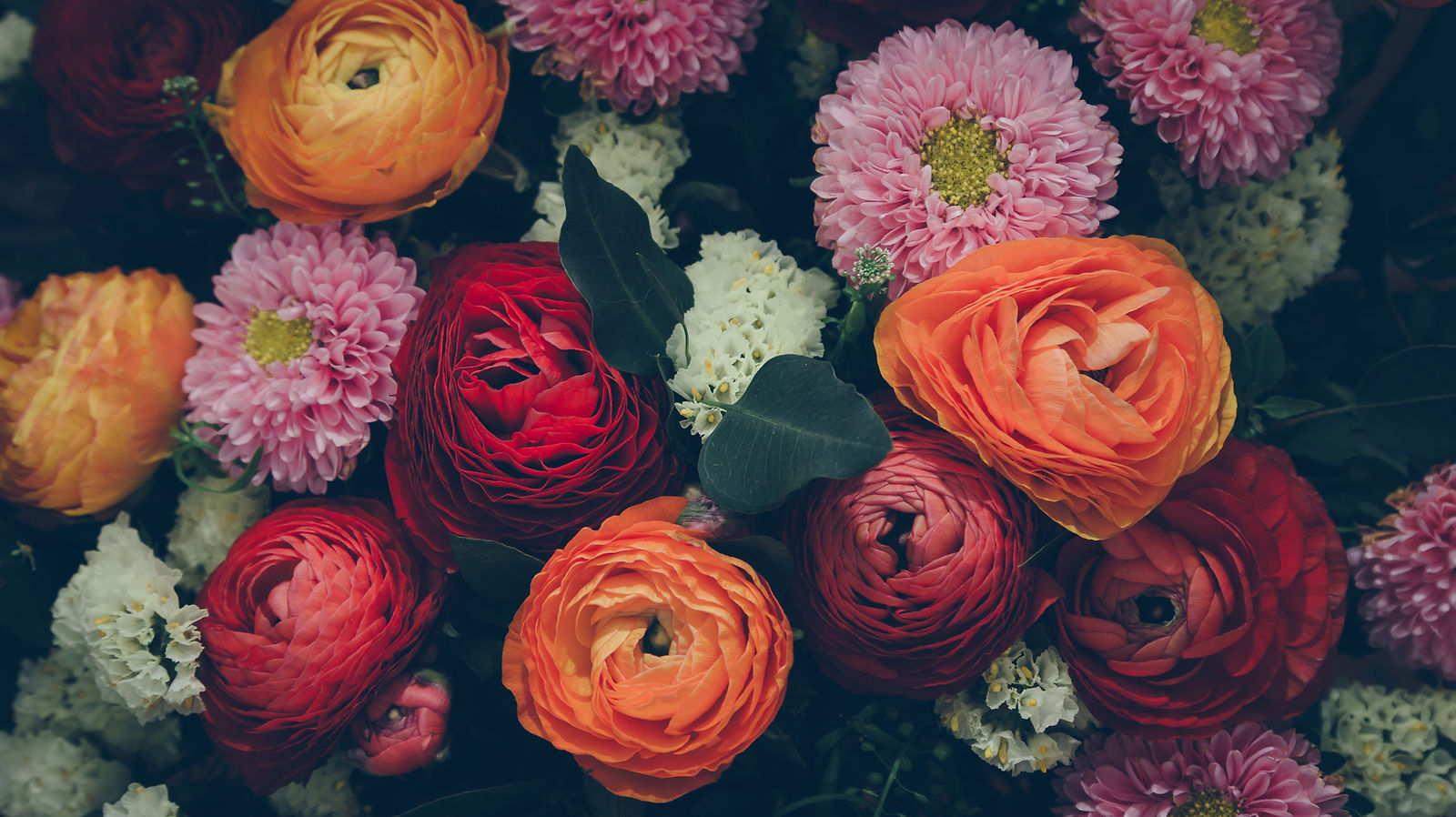 Colorful Flowers