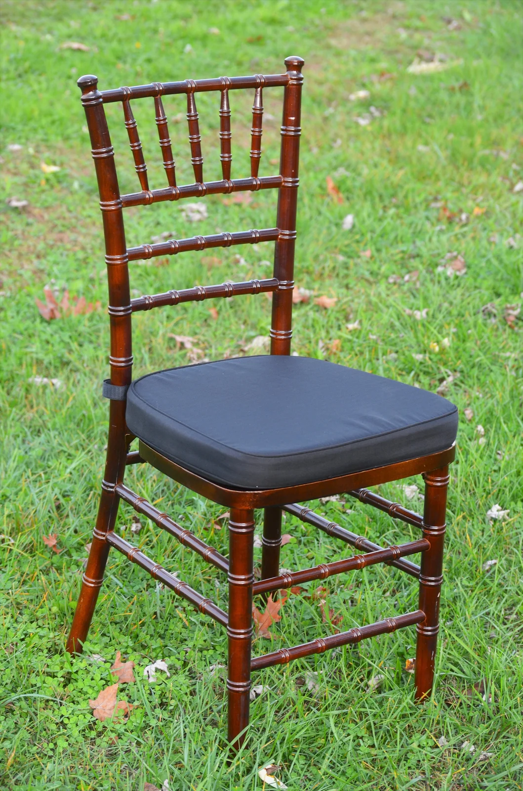 black fruitwood chair.jpg