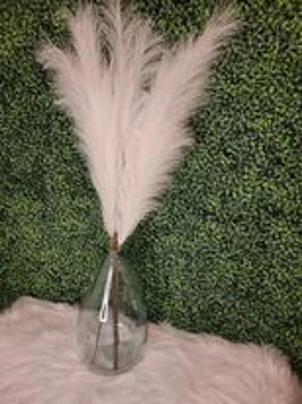 glass jug and white grass.jpg